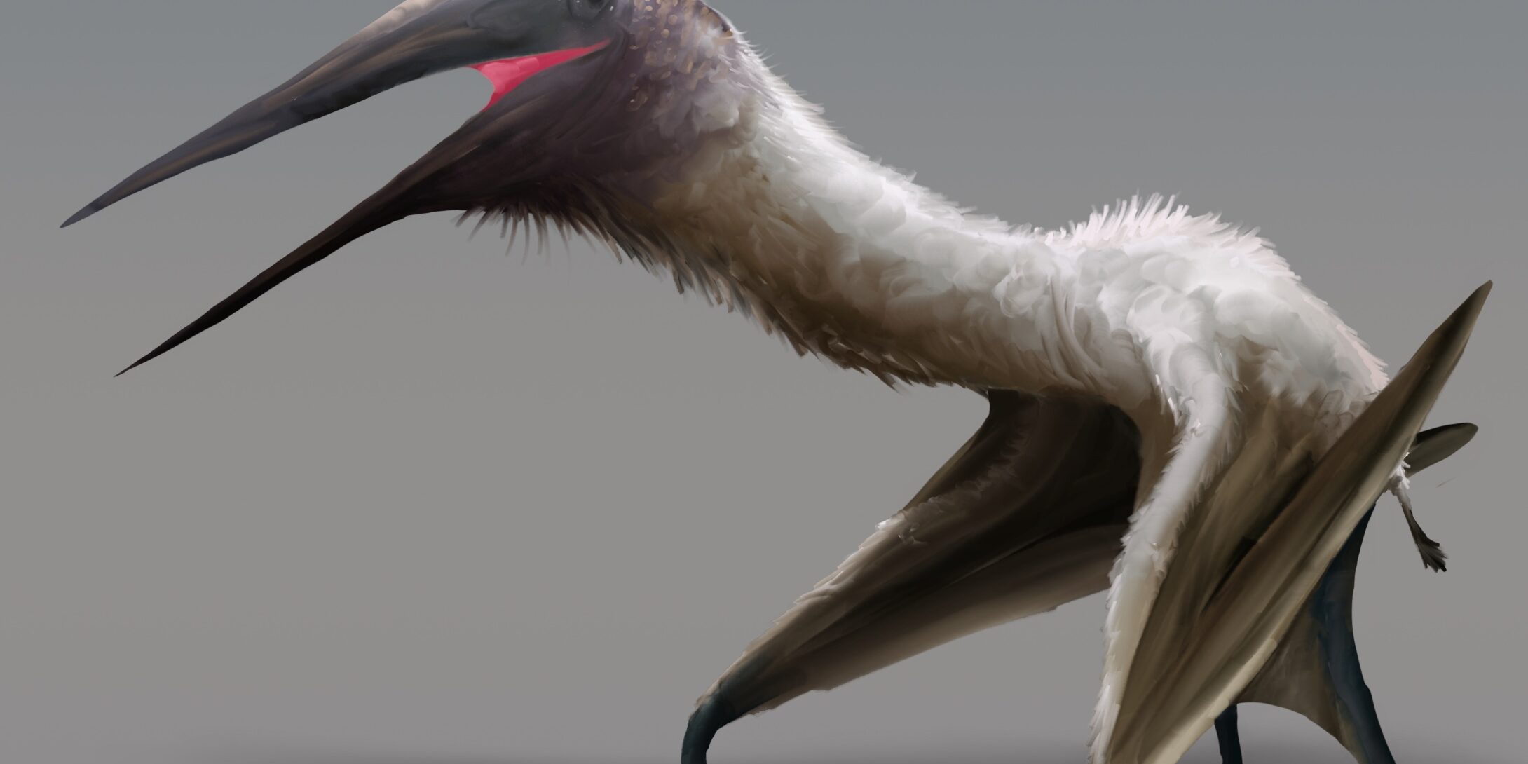 CryoDragon Cryodrakon Boreas Pterodactyl Sketch 3