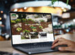 CryoDragon Kitchener Waterloo Website Design Moonbeam Landscaping