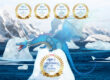 CryoDragon Top Web Designer Waterloo 2020
