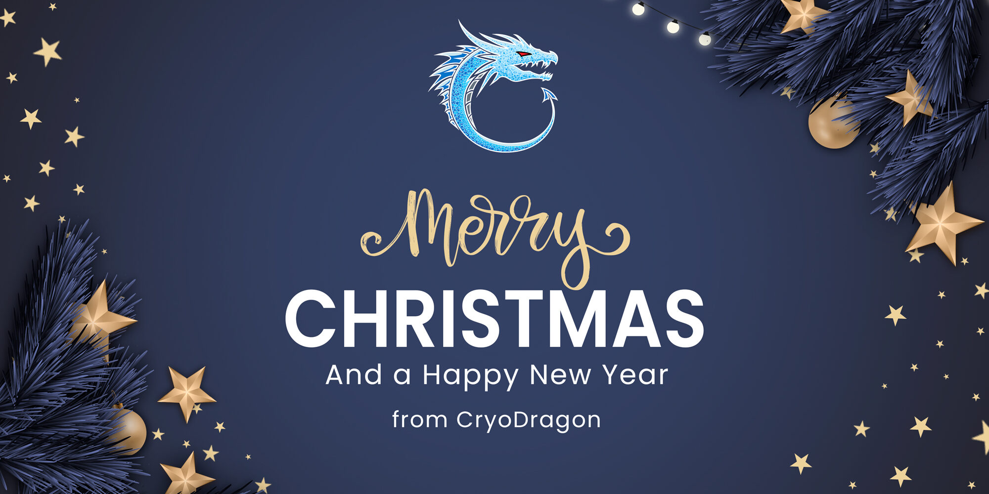 Merry Christmas and Happy New Year from CryoDragon 2020 - Signage with blue pine tree border and stars
